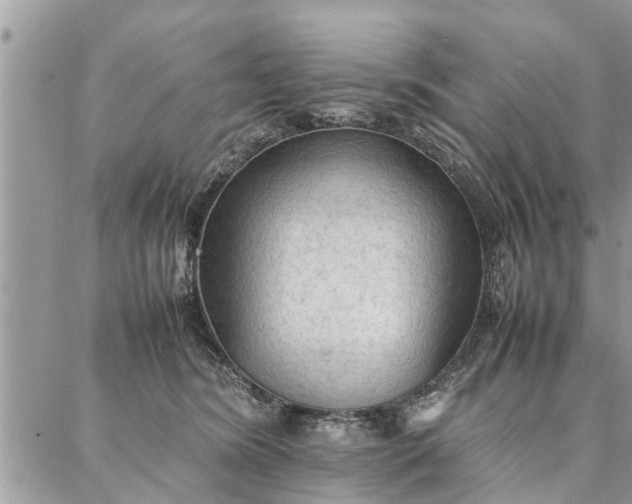 X0000087360420200705041900