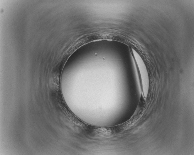 X0000087360421200705041900