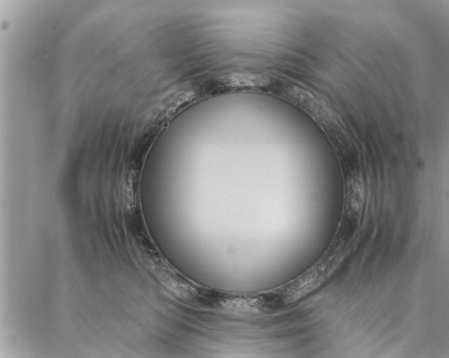 X0000087360422200705041900