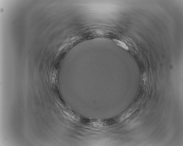 X0000087360423200705041900