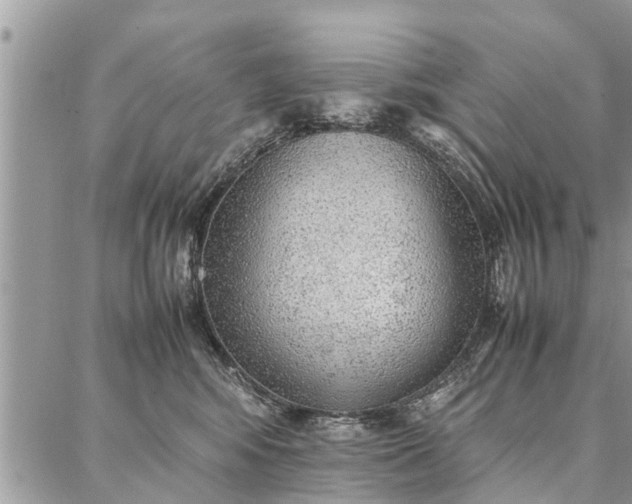 X0000087360424200705041900