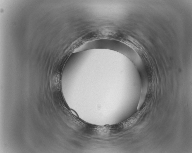 X0000087360425200705041900