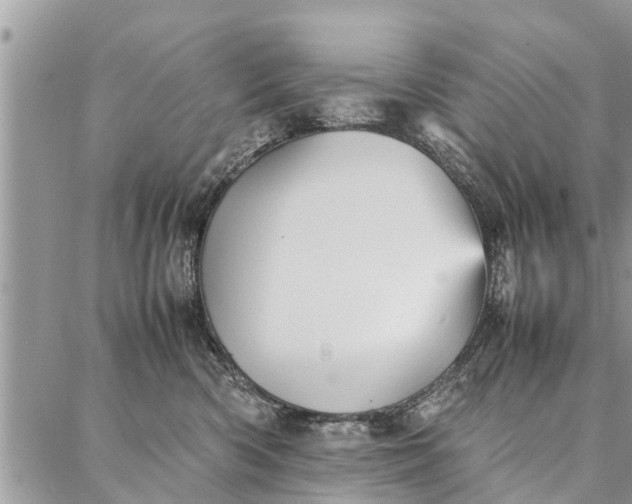 X0000087360426200705041900