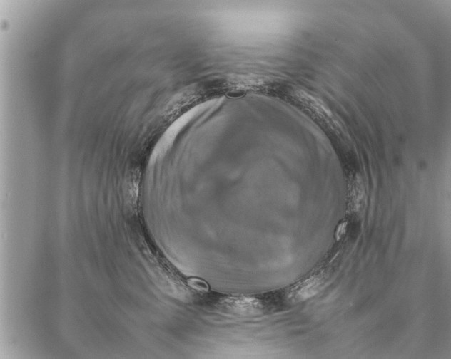 X0000087360427200705041900