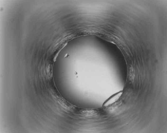 X0000087360428200705041900