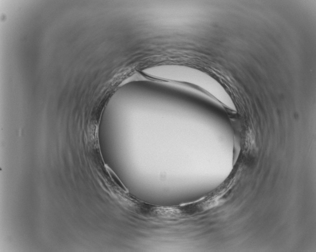 X0000087360429200705041900