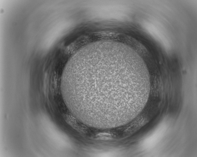 X0000087360430200705041900