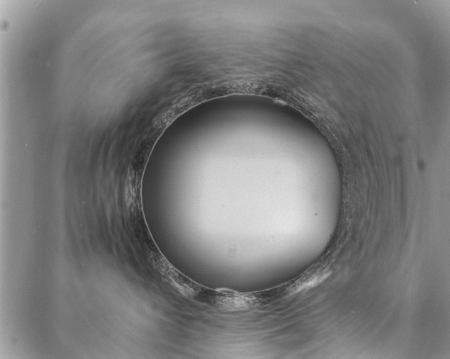 X0000087360432200705041900