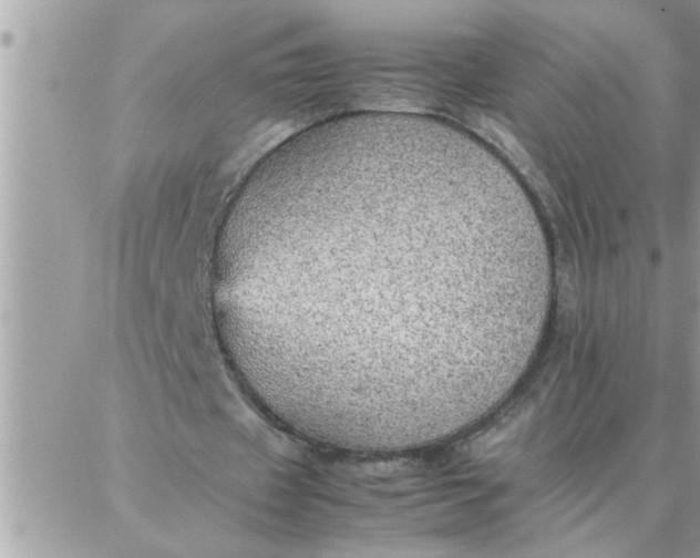 X0000087360433200705041859