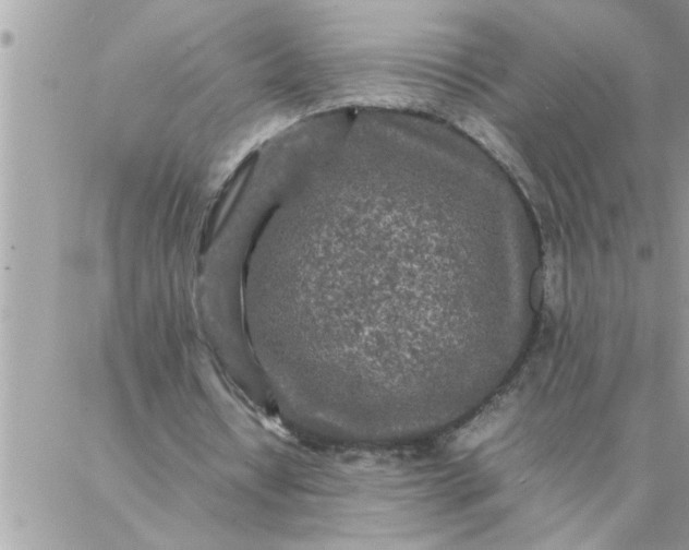 X0000087360434200705041859