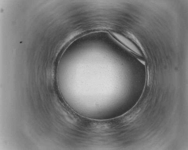 X0000087360435200705041859