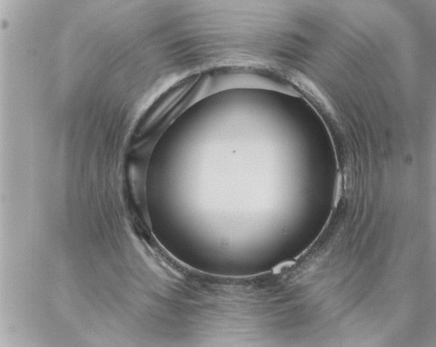 X0000087360436200705041859