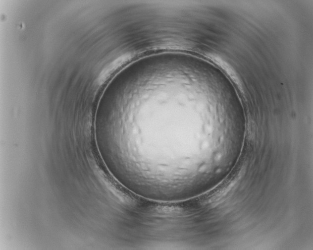 X0000087360437200705041859