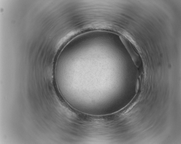 X0000087360438200705041859