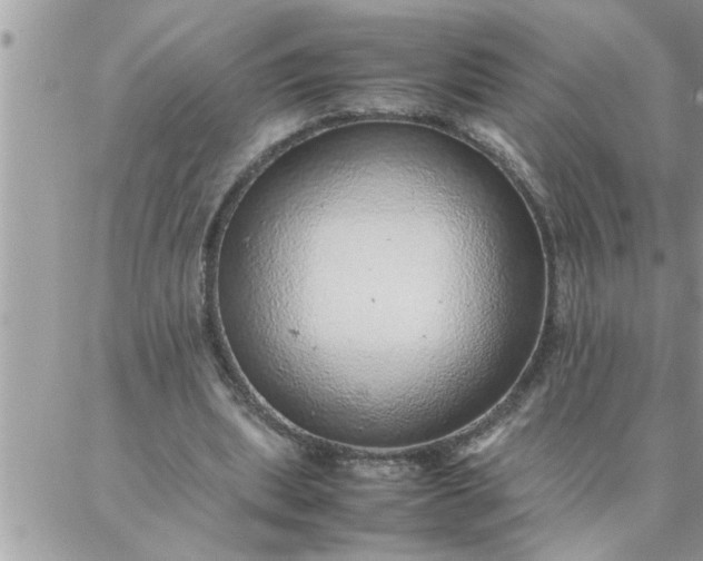 X0000087360439200705041859