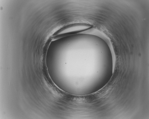 X0000087360440200705041859