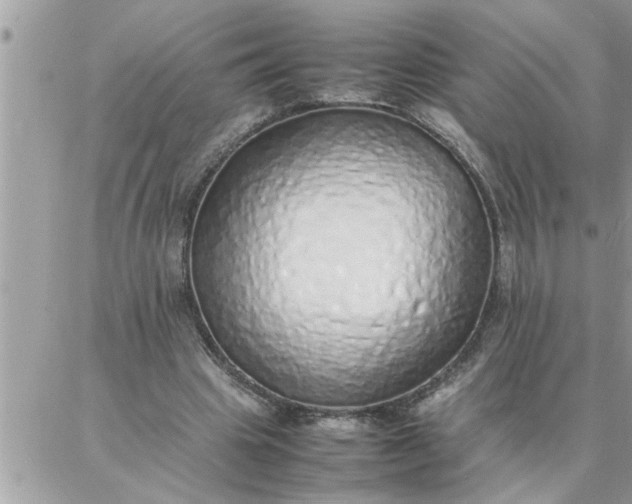 X0000087360441200705041859