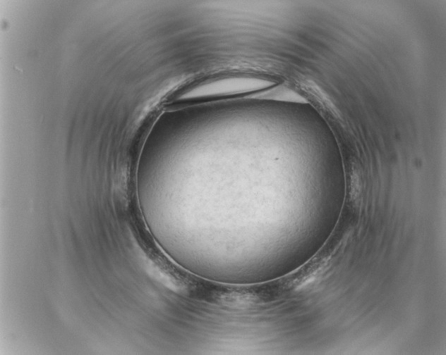 X0000087360444200705041859