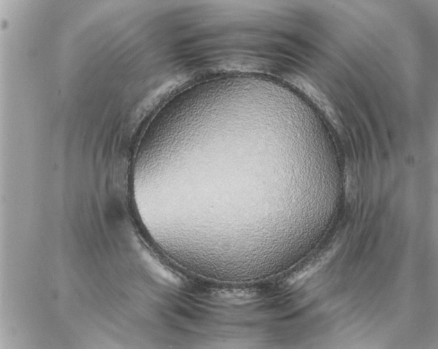 X0000087360445200705041859