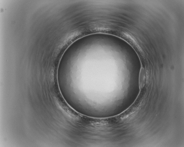 X0000087360447200705041859