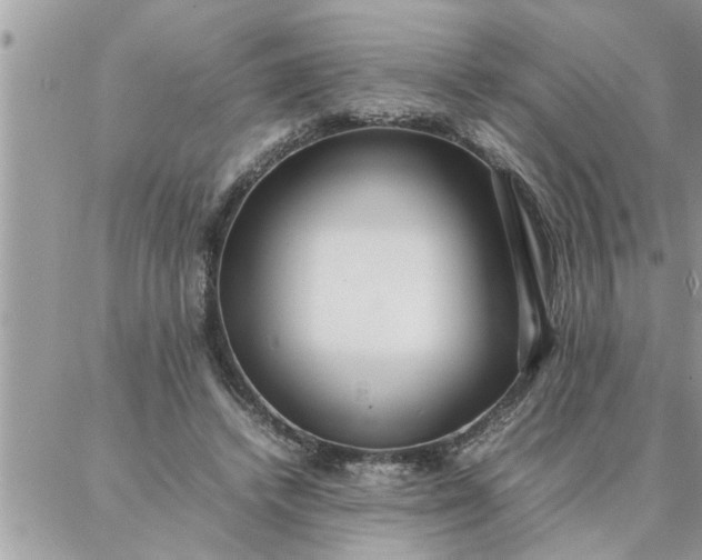 X0000087360448200705041859