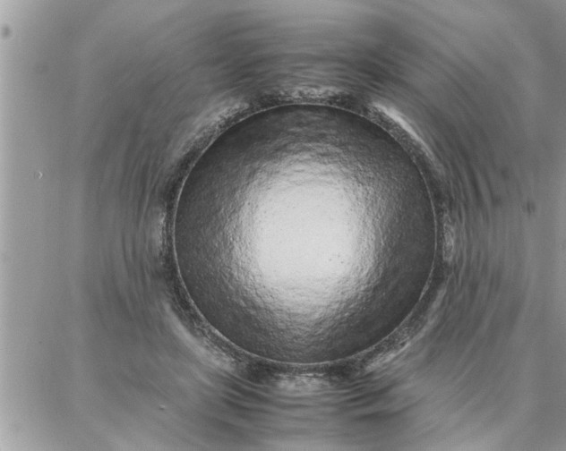 X0000087360451200705041859