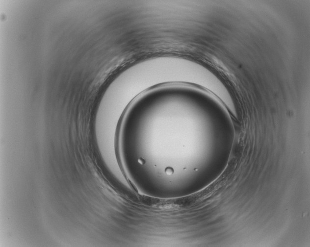 X0000087360452200705041859