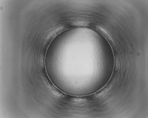 X0000087360453200705041859