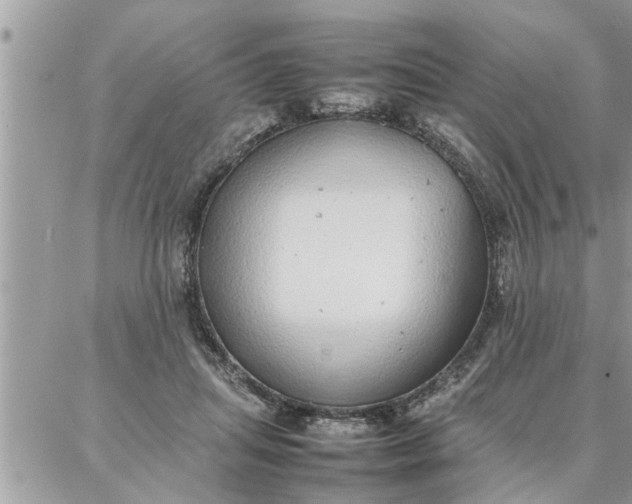 X0000087360455200705041859