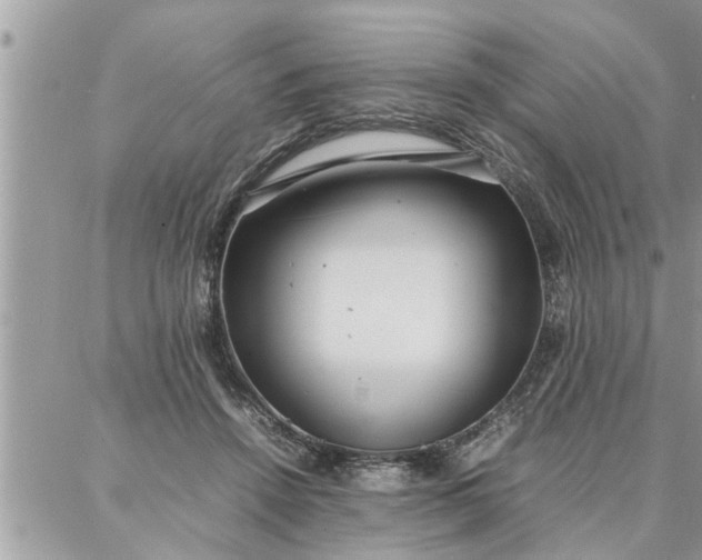 X0000087360456200705041859