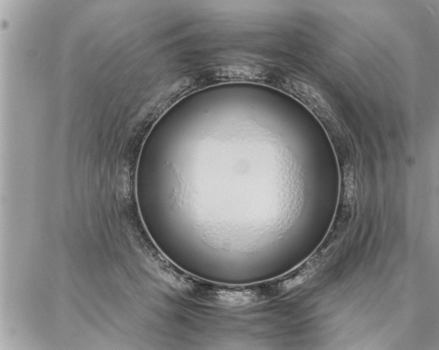 X0000087360457200705041859