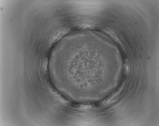 X0000087360458200705041859