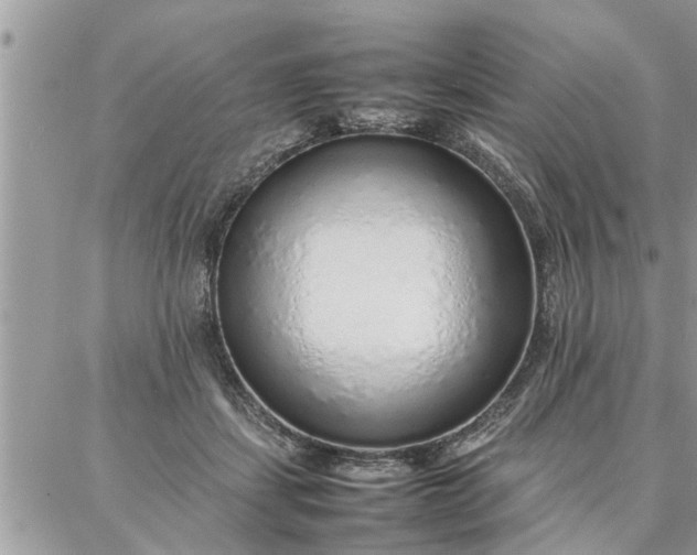 X0000087360459200705041859