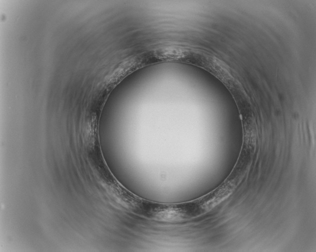 X0000087360460200705041859