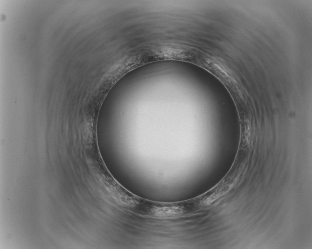 X0000087360461200705041859