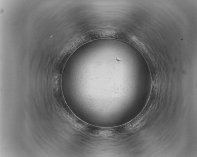 X0000087360462200705041859