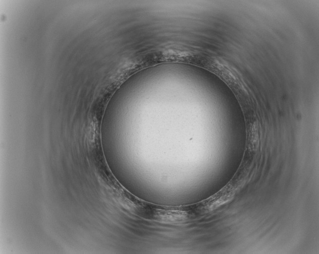 X0000087360463200705041859