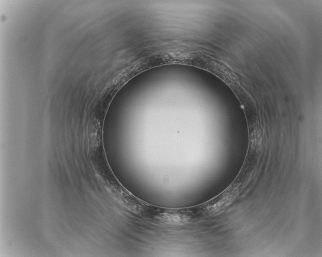 X0000087360464200705041859