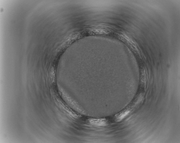 X0000087360465200705041859