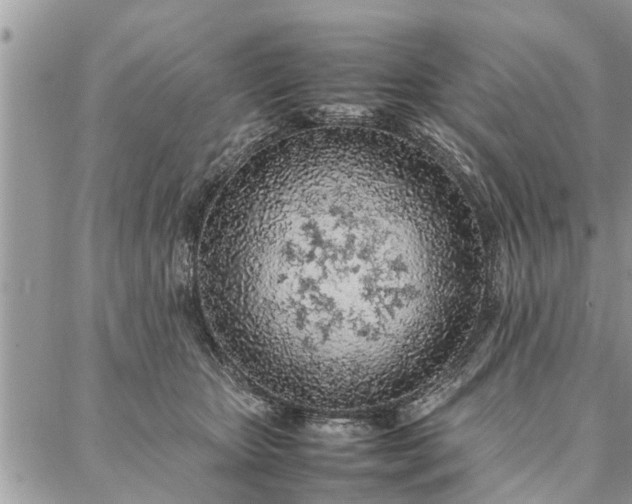 X0000087360467200705041859