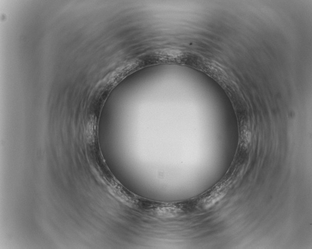 X0000087360468200705041859