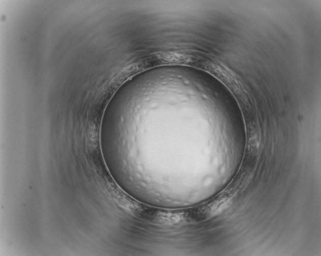 X0000087360469200705041859