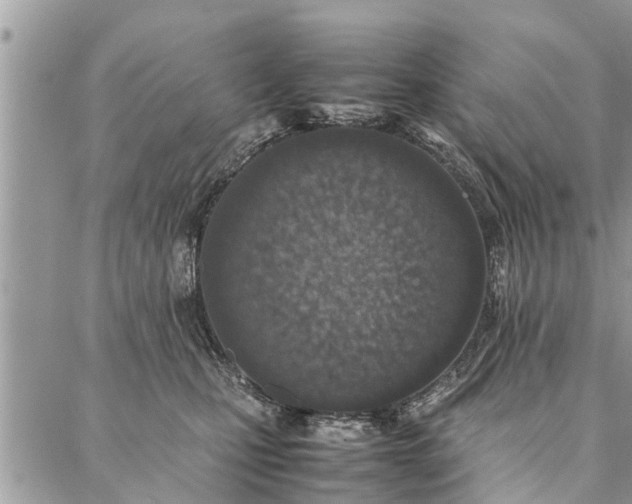 X0000087360471200705041900