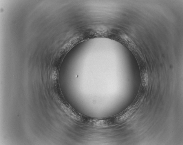 X0000087360472200705041900