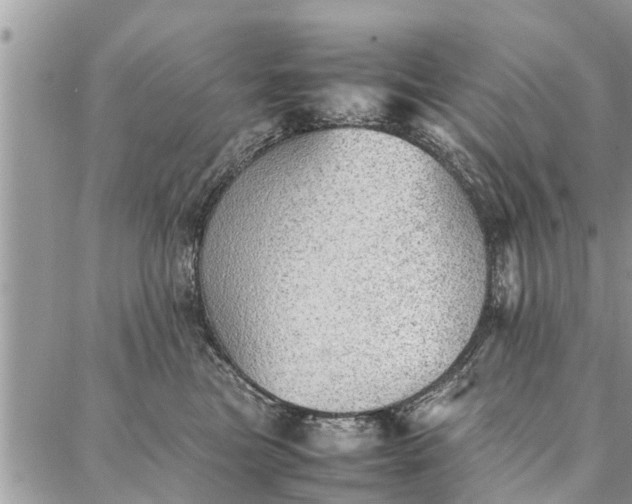 X0000087360473200705041900