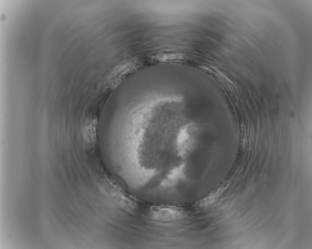 X0000087360475200705041900