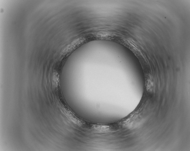 X0000087360476200705041900