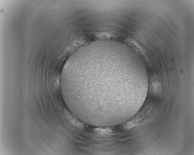 X0000087360477200705041900