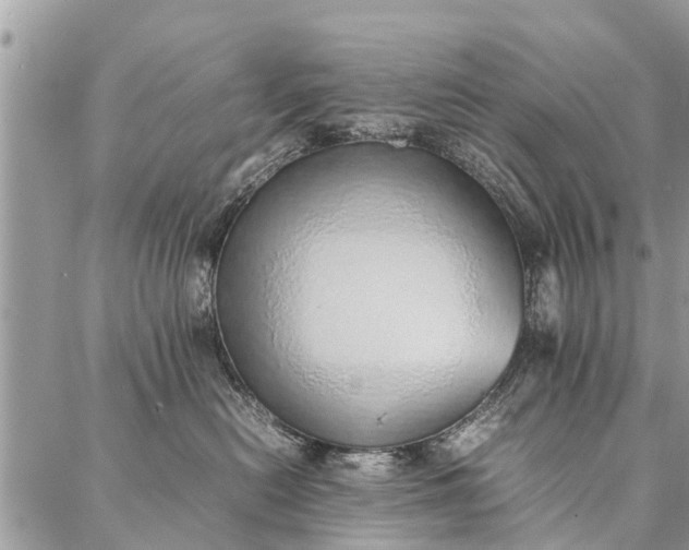 X0000087360478200705041900