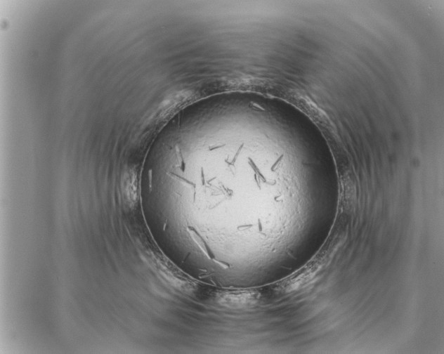 X0000087360479200705041900